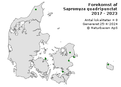 Sapromyza quadripunctata - udbredelseskort