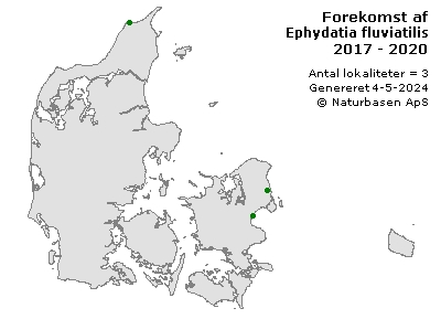 Ephydatia fluviatilis - udbredelseskort