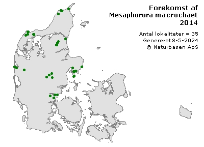 Mesaphorura macrochaeta - udbredelseskort