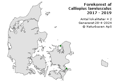 Calliopius laeviusculus - udbredelseskort
