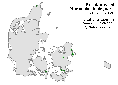 Pteromalus bedeguaris - udbredelseskort