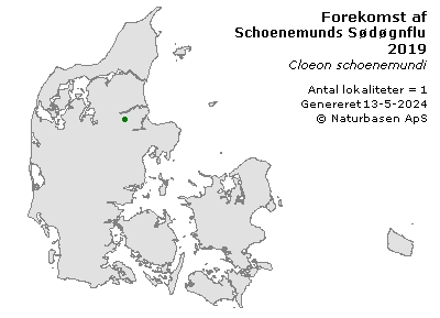 Schoenemunds Sødøgnflue - udbredelseskort