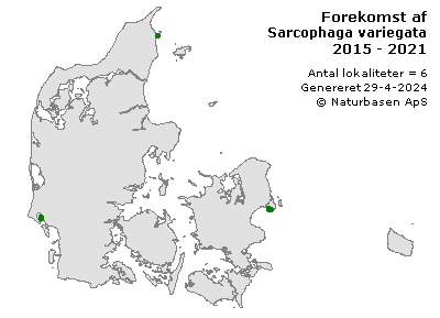 Sarcophaga variegata - udbredelseskort