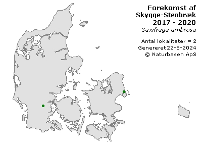 Skygge-Stenbræk - udbredelseskort