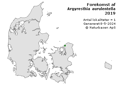 Argyresthia aurulentella - udbredelseskort