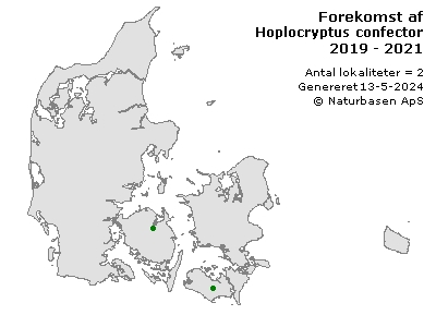 Hoplocryptus confector - udbredelseskort