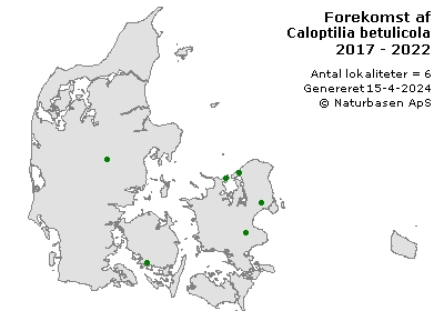 Caloptilia betulicola - udbredelseskort