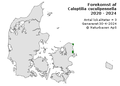 Caloptilia cuculipennella - udbredelseskort
