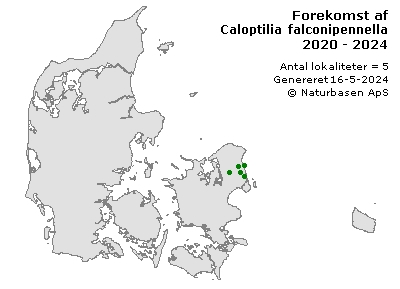 Caloptilia falconipennella - udbredelseskort