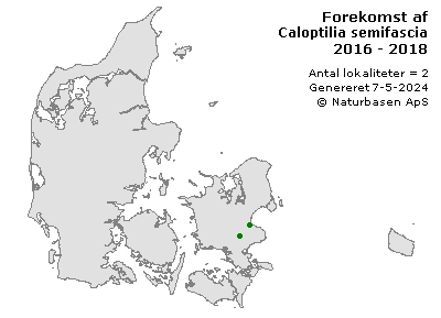 Caloptilia semifascia - udbredelseskort