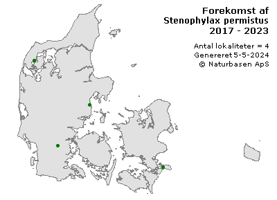 Stenophylax permistus - udbredelseskort