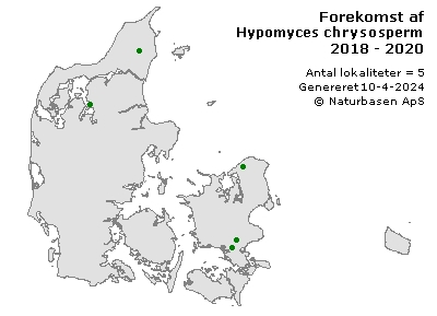 Hypomyces chrysospermus - udbredelseskort