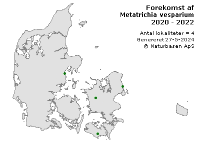 Metatrichia vesparium - udbredelseskort