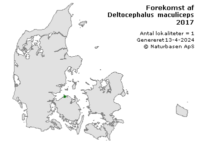 Deltocephalus maculiceps - udbredelseskort