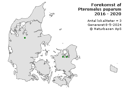Pteromalus puparum - udbredelseskort