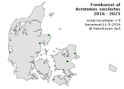 Acrotomus succinctus - udbredelseskort