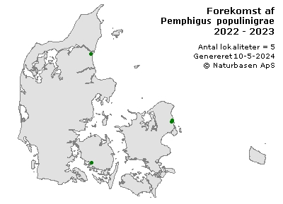 Pemphigus populinigrae - udbredelseskort