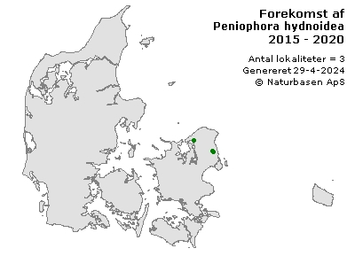 Peniophora hydnoidea - udbredelseskort