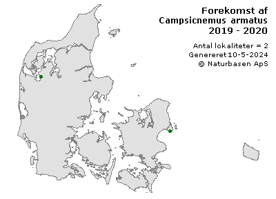 Campsicnemus armatus - udbredelseskort