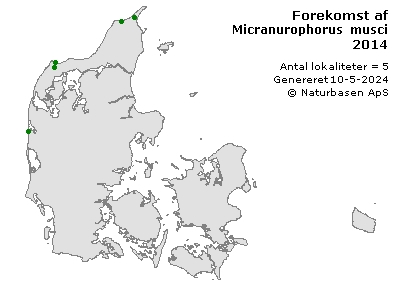 Micranurophorus musci - udbredelseskort
