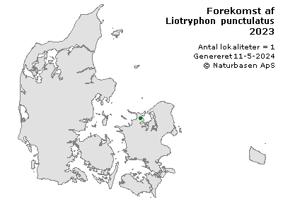 Liotryphon punctulatus - udbredelseskort
