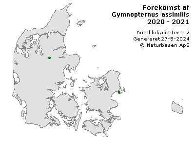 Gymnopternus assimilis - udbredelseskort