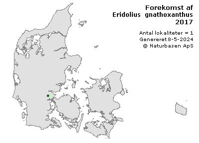 Eridolius gnathoxanthus - udbredelseskort