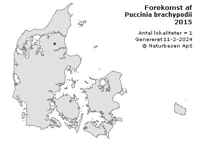 Puccinia brachypodii - udbredelseskort