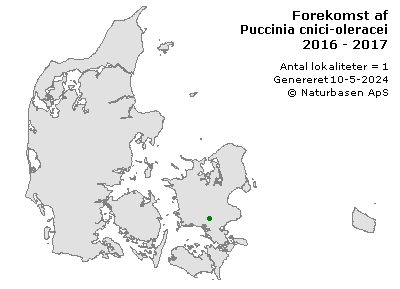 Puccinia cnici-oleracei - udbredelseskort