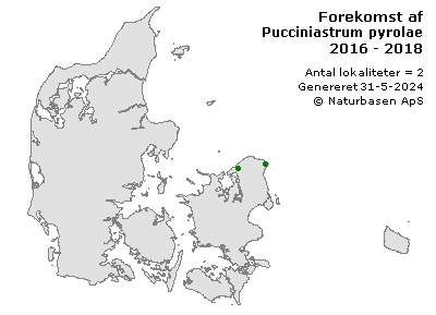 Pucciniastrum pyrolae - udbredelseskort