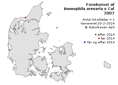 Ammophila arenaria x Calamagrostis epigeios nm. epigeioidea - udbredelseskort