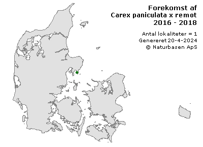 Carex paniculata x remota - udbredelseskort