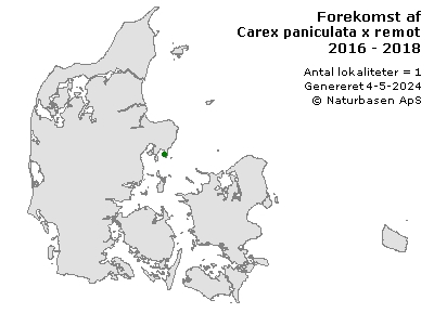 Carex paniculata x remota - udbredelseskort