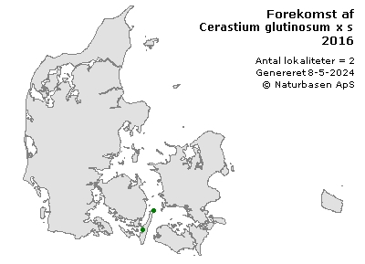 Cerastium glutinosum x semidecandrum - udbredelseskort