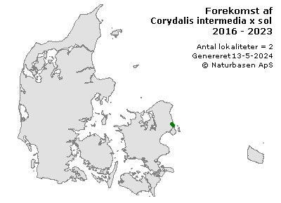 Corydalis intermedia x solida - udbredelseskort
