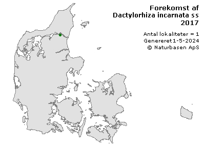 Dactylorhiza incarnata ssp. incarnata x purpurella ssp. purpurella - udbredelseskort