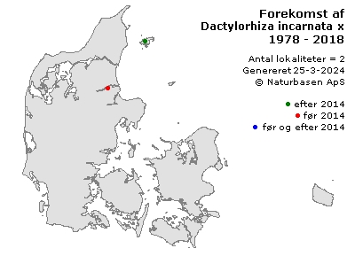 Dactylorhiza incarnata x maculata ssp. maculata - udbredelseskort