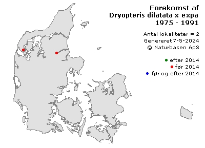 Dryopteris dilatata x expansa - udbredelseskort