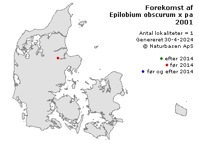 Epilobium obscurum x parviflorum - udbredelseskort