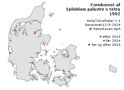 Epilobium palustre x tetragonum - udbredelseskort
