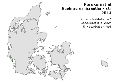 Euphrasia micrantha x stricta - udbredelseskort