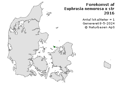 Euphrasia nemorosa x stricta - udbredelseskort