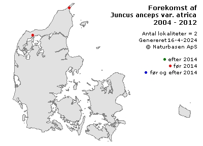 Juncus anceps var. atricapillus x articulatus - udbredelseskort
