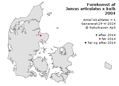 Juncus articulatus x bulbosus - udbredelseskort