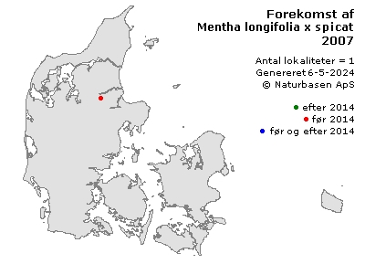 Mentha longifolia x spicata - udbredelseskort