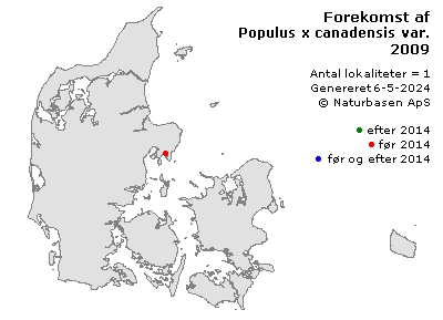 Populus x canadensis var. robusta - udbredelseskort