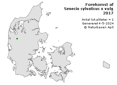 Senecio sylvaticus x vulgaris - udbredelseskort