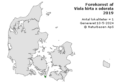 Viola hirta x odorata - udbredelseskort