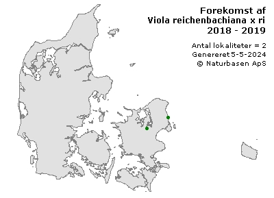 Viola reichenbachiana x riviniana - udbredelseskort