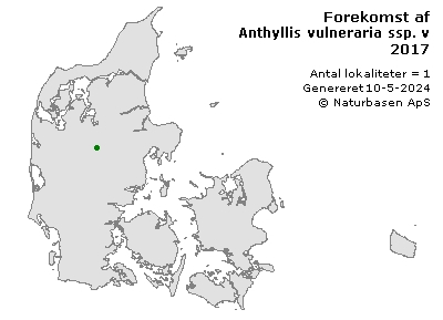 Anthyllis vulneraria ssp. vulneraria - udbredelseskort
